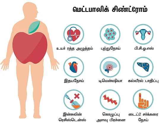 ஸ்வீட் எஸ்கேப் - 15