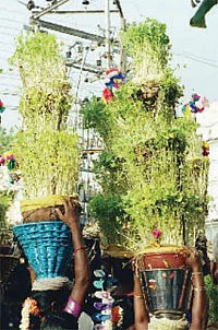 குலம் காப்பாள் கொழுமம் மாரியம்மன்!