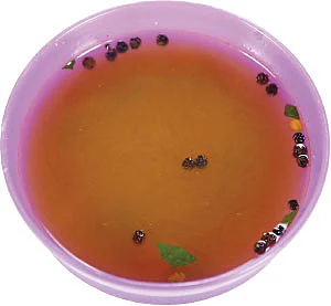30 வகை பிரேக்ஃபாஸ்ட், லஞ்ச், டின்னர்