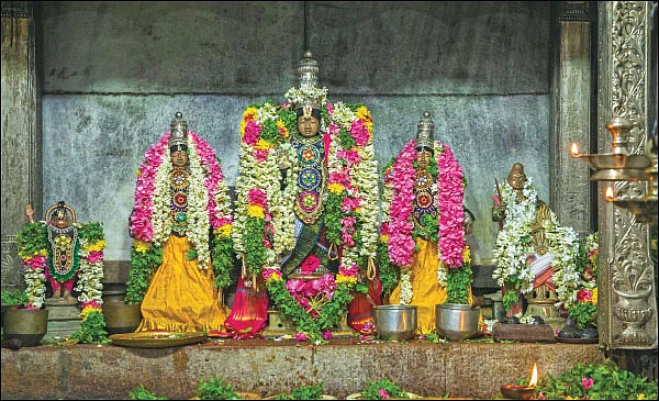 முதல் கன்று... கம்பத்து பெருமாளுக்கே! - கல்லங்குறிச்சி அற்புதம்