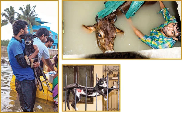 மிதந்து வந்த மீட்பர்கள்!