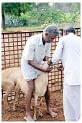 மரத்தடி மாநாடு