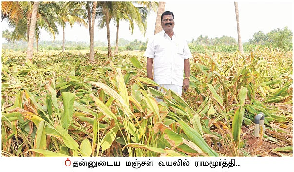 தாய்லாந்தில் ஈரோடு மஞ்சள்... கடல் கடந்து கற்றுக் கொடுக்கும் விவசாயி!