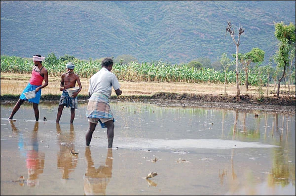 எஸ்எம்இ-களுக்கும், விவசாயிகளுக்கும் என்ன பயன்?
