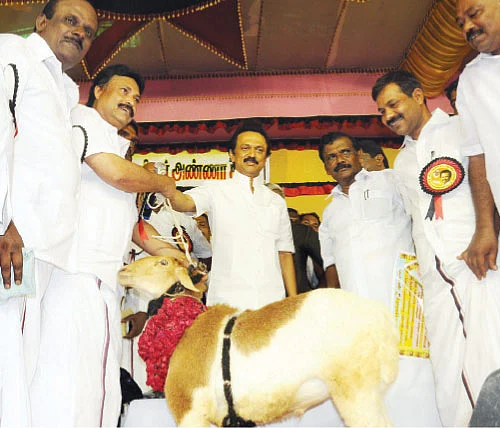 தமிழ் தேசமா... தளபதி தேசமா?