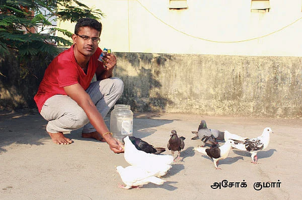 பறவை வளர்ப்பு... பணத்துக்குப் பணம்; மகிழ்ச்சிக்கு மகிழ்ச்சி!