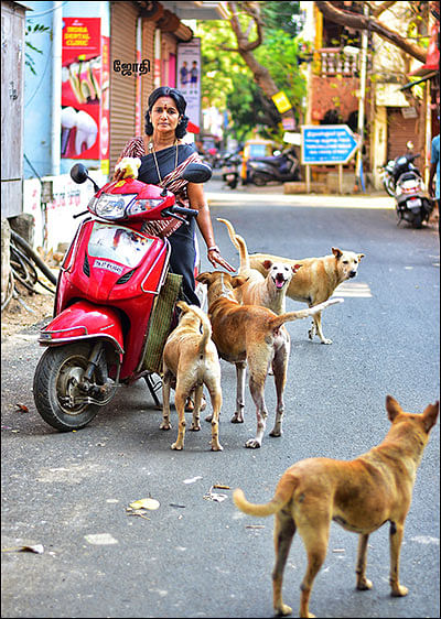 தெய்வத்தான் ஆகாதெனினும் - “சாப்பாட்டுக்காக காக்க வைக்காதீங்க!”