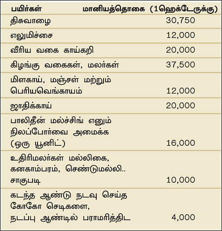 நீங்கள் கேட்டவை : ‘தோட்டக்கலைப் பயிர்களுக்கு எவ்வளவு மானியம்?”