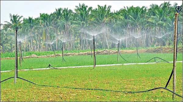 உப்பு அடைப்பைத் தடுக்கும் நுண்ணுயிர் கரைசல்கள்!