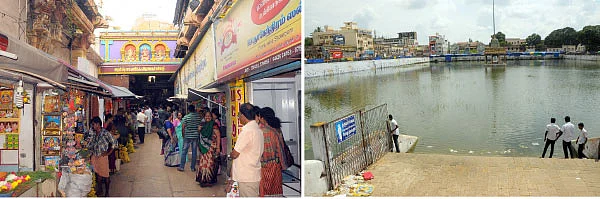 நாரதர் உலா