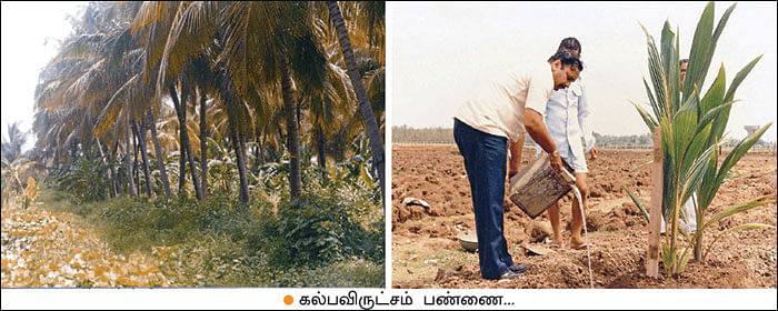 மண்புழு மன்னாரு: கல்பவிருட்சம் பண்ணையும்! கெட்டிக்காரன் புளுகும்