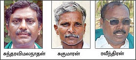 நெல்லுக்குப் பதிலாக மாற்றுப் பயிர்கள் !