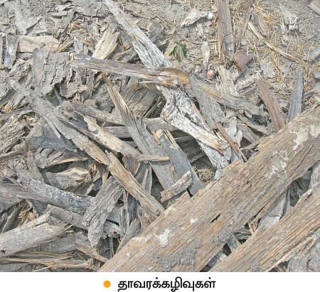 மண்ணுக்கு மரியாதை! - 15