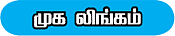சிந்தை நிறைக்கும் சிவ வடிவங்கள்!