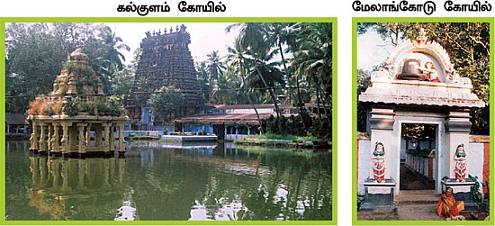 ‘கோவிந்தா... கோபாலா..!’ குமரியில் சிவாலய ஓட்டம்!