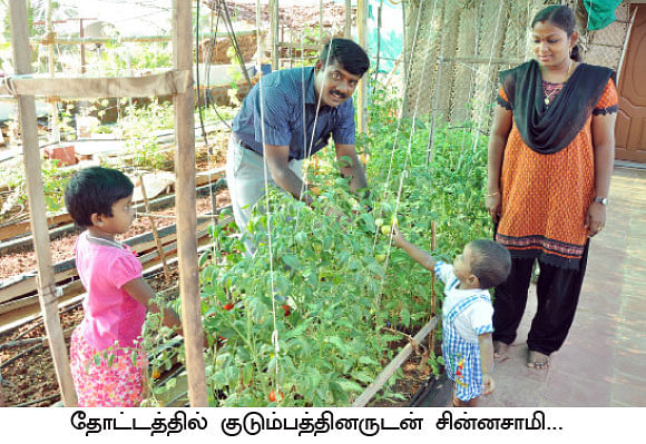 'வீட்டுத் தோட்டங்கள்...'