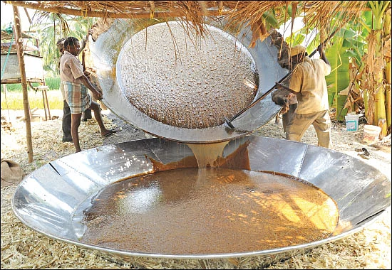 கலக்கும் கவுந்தப்பாடி நாட்டுச் சர்க்கரை!