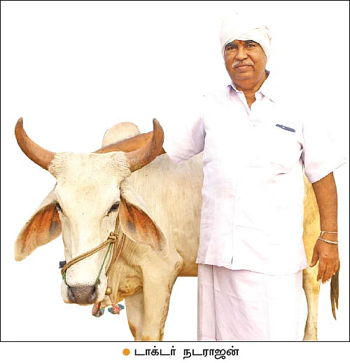 வேஸ்ட் டீகம்போஸர்... - 20 ரூபாயில் வாழ்நாள் முழுவதும் இயற்கை உரம்!