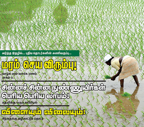 அடுத்த இதழில்... புதிய தொடர்களின் அணிவகுப்பு...