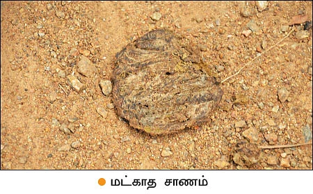 மண், மக்கள், மகசூல்! - மாட்டுச்சாணம் மூலம் மண் நலத்தை அறியலாம்!
