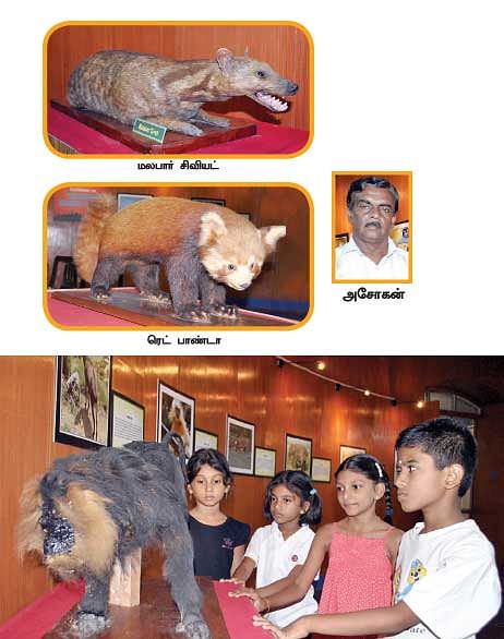 அழிவின் விளிம்பில் விலங்குகள் !