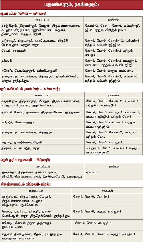 பலே லாபம் கொடுக்கும் பச்சைப் பயறு