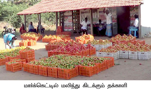 மரத்தடி மாநாடு : 40 நாளில் 40 ஆயிரம்!