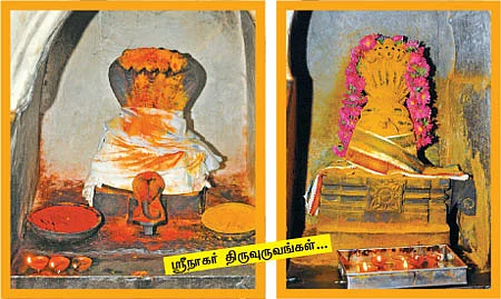 நலம் அருளும் நாகமங்களா!
