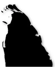 ஈழம் இன்று!