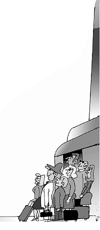 ‘முடி முளைக்க வைக்கும், பீக்களா செடி!’