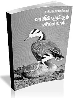 வானில் பறக்கும் புள்ளெலாம்...