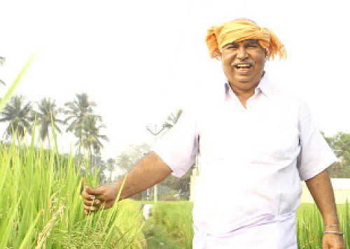 பஞ்சகவ்யா - 8