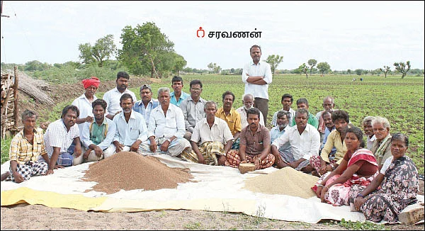 வாட்டி எடுத்த பி.டி பருத்தி... வாழ்வு கொடுத்த சிறுதானியம்!