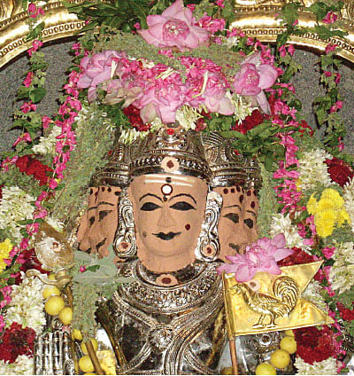 தடைகளைத் தகர்க்கும் தைப்பூச தரிசனம்!