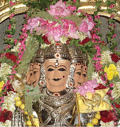 தடைகளைத் தகர்க்கும் தைப்பூச தரிசனம்!