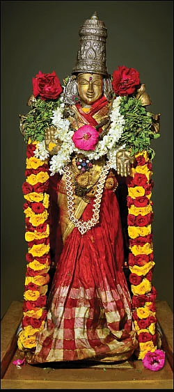 அதிர்ஷ்டம் தரும் பூக்கள்!