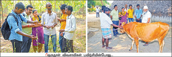 நிலத்தை வளமாக்கும் சணப்பு! - ஒரு நாள் விவசாயி! பருவம்-2