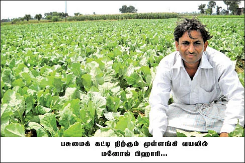 கிராமத்துக்கு ஒரு இயற்கை விவசாயி...!