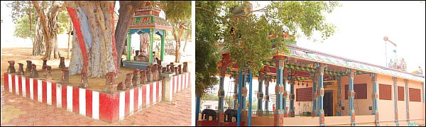 நவகிரக நாயகி!