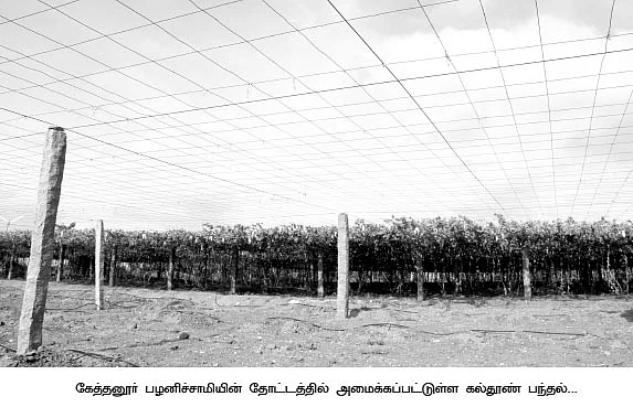 பீர்க்கன் 1 லட்சம்... புடலை 3 லட்சம்... பாகல் 4 லட்சம்...