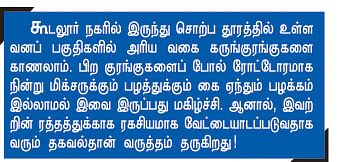 மண்ணின் மைந்தர்களுக்கு வணக்கம்!