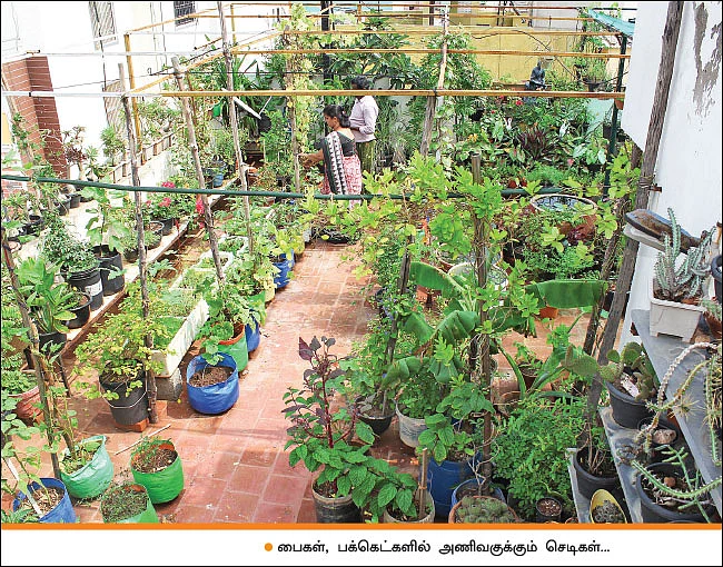 சமையலுக்குக் காய்கறிகள்... பூஜைக்கு மலர்கள்..!