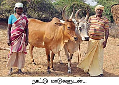 நீர் மேலாண்மை : பெய்யெனப் பெய்யும் மழைத்தூவி...
