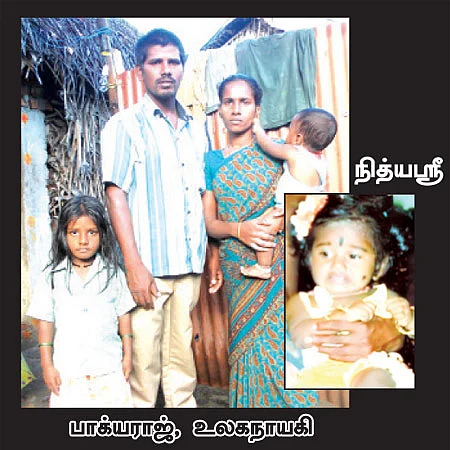 துடிக்க வைக்கும் டெங்கு!