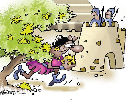 ஜோக்ஸ்