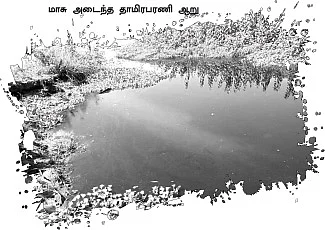 சாக்கடையாகும் தாமிரபரணி