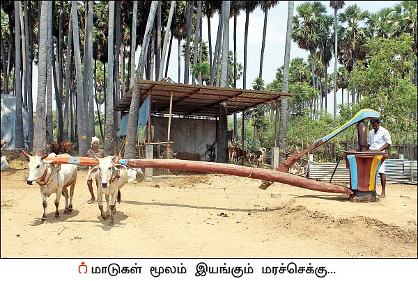 மரச்செக்கு... பத்தாயம்... மண்குதிர்... - பாரம்பர்யம் காக்கும் கோசாலை!