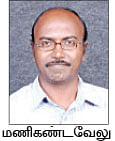 சுறா மீன்களை வளர்த்து விற்பனை செய்ய முடியுமா?