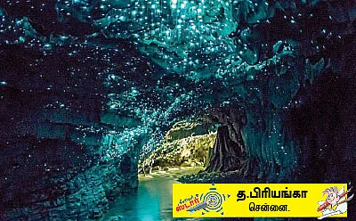 சுட்டி ஸ்டார் நியூஸ்...