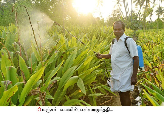 பஞ்சகவ்யா - 3